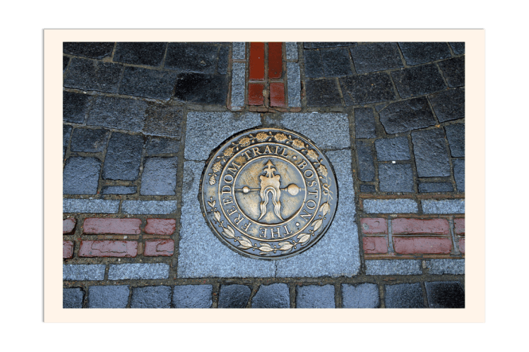 FreedomTrail_BeePedia_Image1