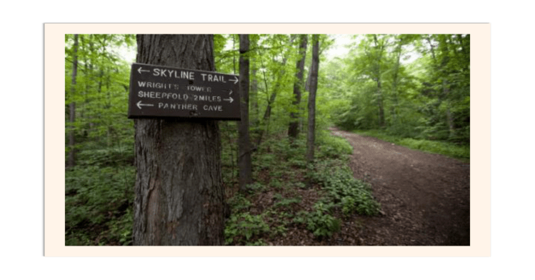 MiddlesexFellsReservation_BeePedia_Image2